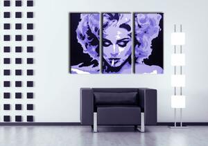Tablou POP ART pictat manual MADONNA 3 buc 0002 ma - 60x40 cm