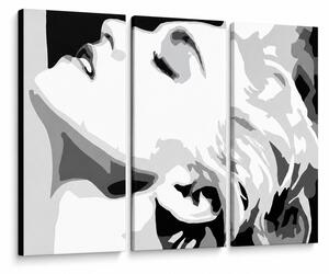 Tablou POP ART pictat manual MADONNA 3 bucăți ma5 - 60x40 cm