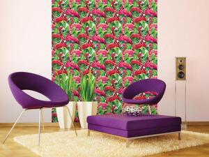 Tapet vlies de lux flamingo roz