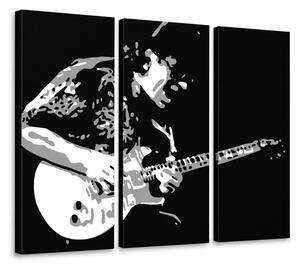 Tablou POP ART pictat manual Santana 3 bucăți san - 60x40 cm
