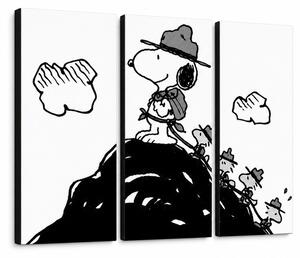 Tablou POP ART pictat manual SNOOPY 3 buc snoopy2 - 60x40 cm