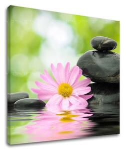 Tablou de perete FENG SHUI - 30x30 cm