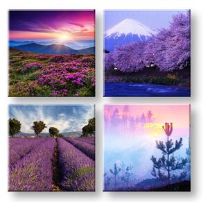 Tablou de perete Everywhere violet 4 părți XOBKOL21E42 - 40x40 cm