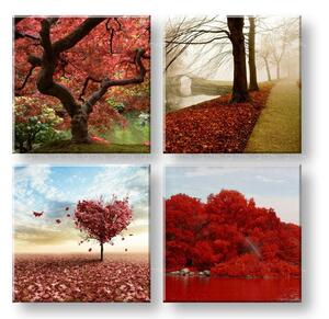Tablou de perete Lumea colorată 4 părți XOBKOL26E42 - 40x40 cm