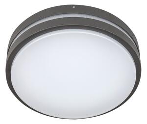 Rabalux 8847 - Aplică perete exterior LED HAMBURG LED/10W/230V IP44