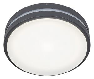 Rabalux 8847 - Aplică perete exterior LED HAMBURG LED/10W/230V IP44