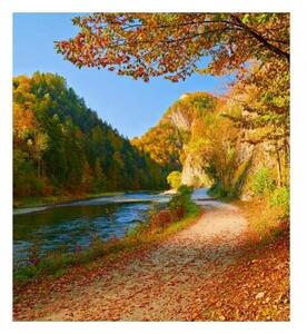 Fototapetă vlies râul dunajec 225 x 250 cm
