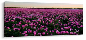 Tablou - Pajiștea cu lalele violet (120x50 cm)