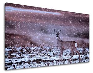 Tablou de perete ANIMALE - 60x90 cm