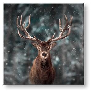 Tablou de perete ANIMALS_052-12 - 30x30 cm