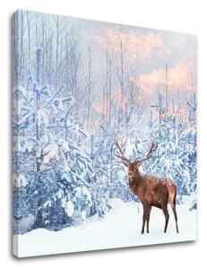 Tablou de perete ANIMALS_053-12 - 30x30 cm