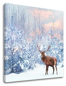 Tablou de perete ANIMALS_053-12 - 40x40 cm