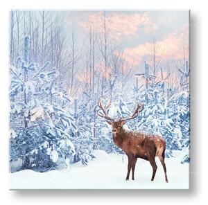Tablou de perete ANIMALS_053-12 - 30x30 cm