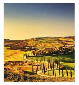 Fototapetă vlies toscana 225 x 250 cm