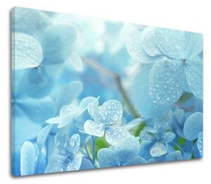 Tablou de perete BLUE FLOWERS_152-11 - 40x60 cm