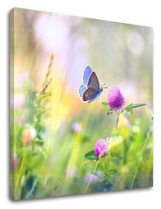 Tablou de perete COLORFUL FLOWERS_161-12 - 30x30 cm
