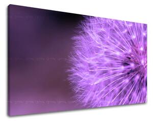 Tablou de perete FLORI - 40x60 cm