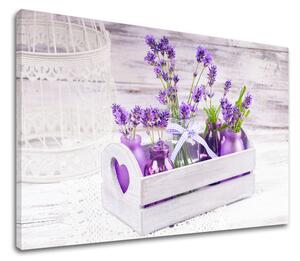 Tablou de perete FIAL FLOWERS_164-11 - 40x60 cm