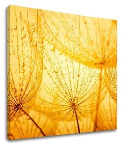 Tablou de perete FLORI - 30x30 cm