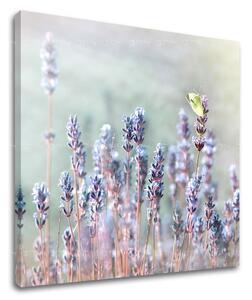 Tablou de perete FLORI - 30x30 cm