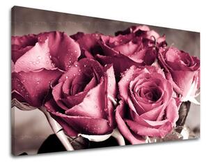 Tablou de perete FLORI OF ROSES - 20x30 cm