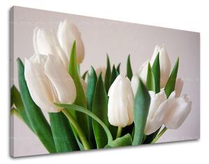Tablou de perete FLORI TULIPANS - 20x30 cm