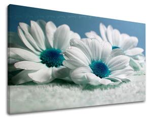 Tablou de perete FLORI - 20x30 cm