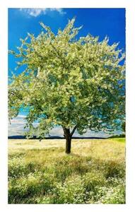 Fototapetă vlies copac în pajiște 150 x 250 cm