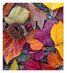 Fototapetă vlies frunze de toamnă 225 x 250 cm