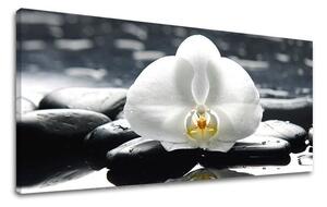 Tablou de perete PANORAMA FENG SHUI - 50x100 cm