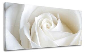 Tablou de perete Panorama FLORI - 30x60 cm