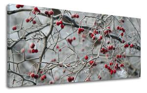 Tablou de perete PANORAMA COPACI - 30x60 cm