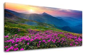 Tablou de perete PANORAMA SLOVACIA - 30x60 cm