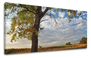 Tablou de perete PANORAMA COPACI - 30x60 cm