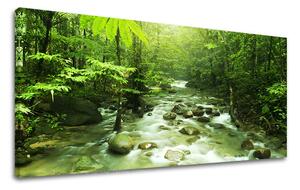 Tablou de perete PANORAMA COPACI - 60x120 cm