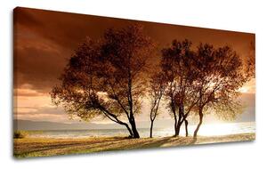 Tablou de perete PANORAMA COPACI - 30x60 cm