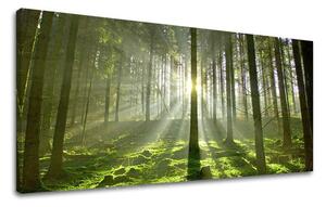 Tablou de perete PANORAMA COPACI - 30x60 cm