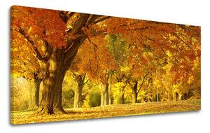 Tablou de perete PANORAMA COPACI - 70x140 cm