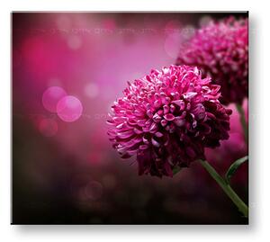 Tablou de perete PINK FLOWERS_149-11 - 30x30 cm