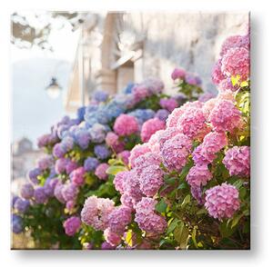 Tablou de perete PINK FLOWERS_157-12 - 30x30 cm