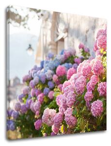 Tablou de perete PINK FLOWERS_157-12 - 60x60 cm