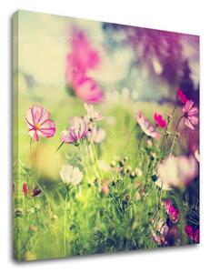 Tablou de perete PINK FLOWERS_165-12 - 30x30 cm