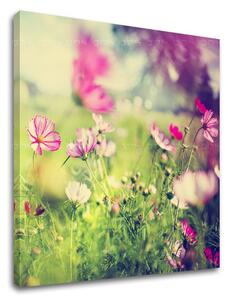Tablou de perete PINK FLOWERS_165-12 - 30x30 cm