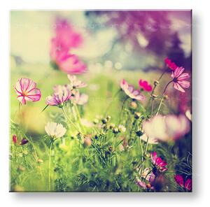 Tablou de perete PINK FLOWERS_165-12 - 30x30 cm