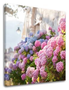 Tablou de perete PINK FLOWERS_157-12 - 30x30 cm