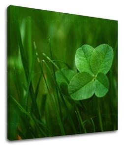 Tablou de perete PLANTE - 30x30 cm