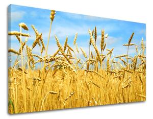 Tablou de perete PLANTE - 40x60 cm