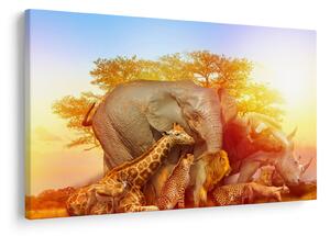 Tablou - Animale africane (90x60 cm)