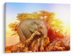 Tablou - Animale africane (70x50 cm)