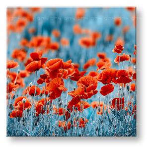Tablou de perete RED FLOWERS_159-12 - 30x30 cm
